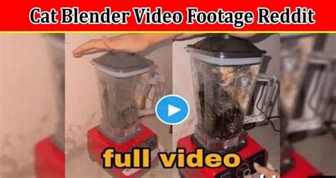 catinblender|The Cat Blender Video